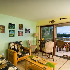 Kai Maui - #107 Kama Partial Oceanview 1 Br Apartment Hana